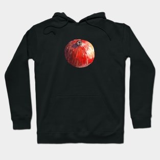 Red kuri squash Hoodie